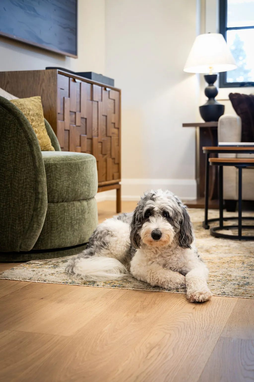 A dog resting on a patterned area rug in the living room, beside a green upholstered swivel chair, a carved wood cabinet and a lamp-lit side table.