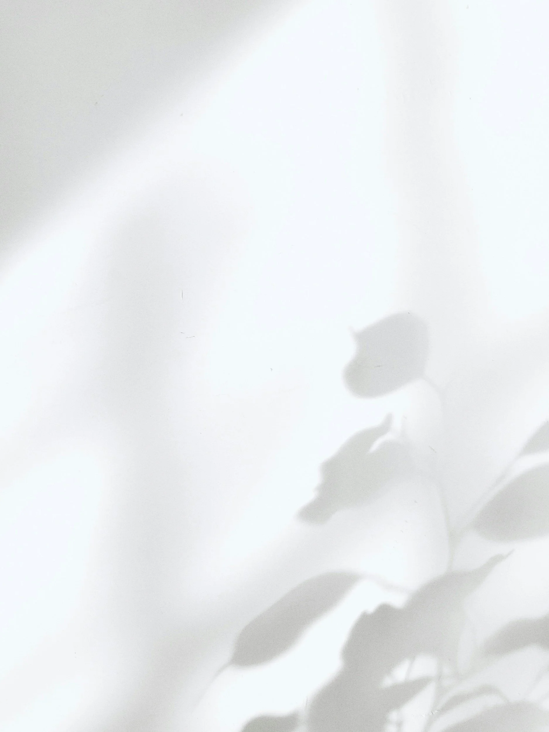 Design inspiration, Timeless Whites project